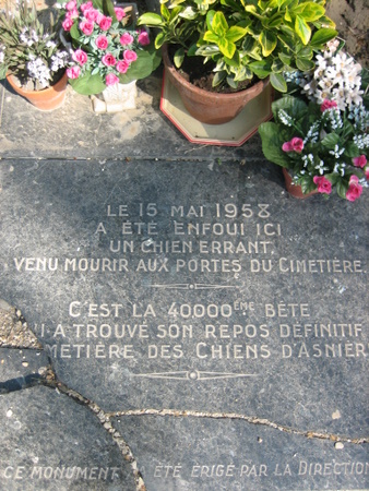 CIMETIERE%20DES%20CHIENS%20005